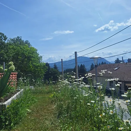 Loft 31 - Modernes Mit Sonnenterasse Und Bergblick Lejlighed